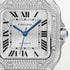 Santos de Cartier Watch - 4